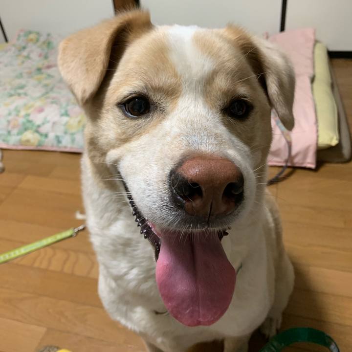 D185d984 a425 4999 84a1 deaf945d73fa 1561595735781