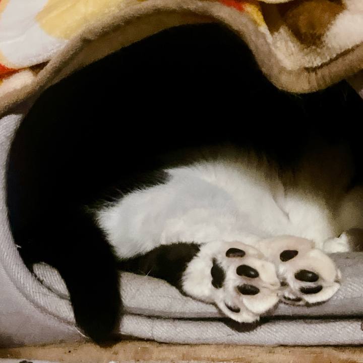 D185e3fa 7d12 4f49 a4d7 35d1e7aa6816 1704340389538