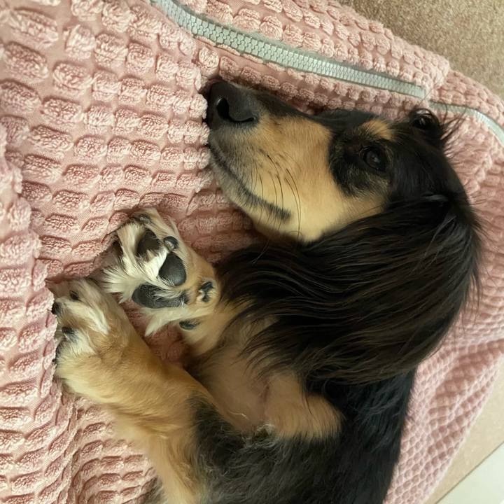 D185f37f 3663 4acb a2a8 37138f65618a 1724804944700