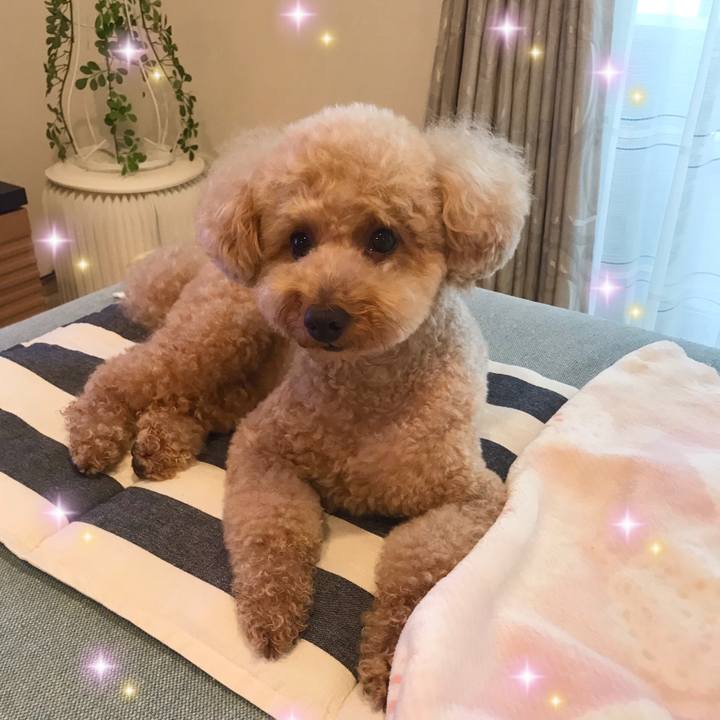 D185f4af e417 4a90 aa2c b0829a3ce89c 1589349836254