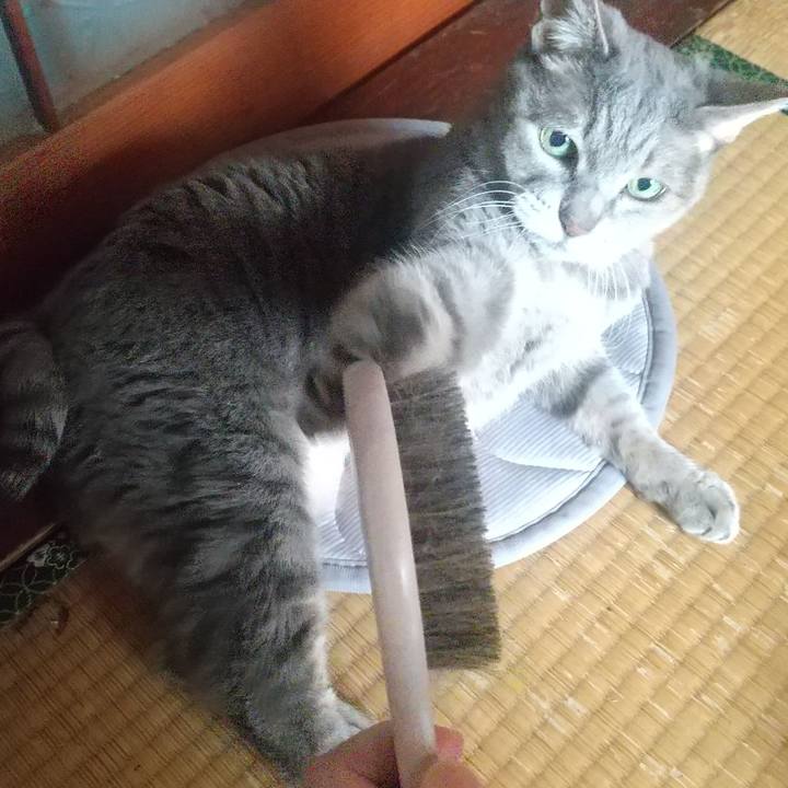 D18624f8 ef68 4240 891a fc9e405d85fc 1666393465404