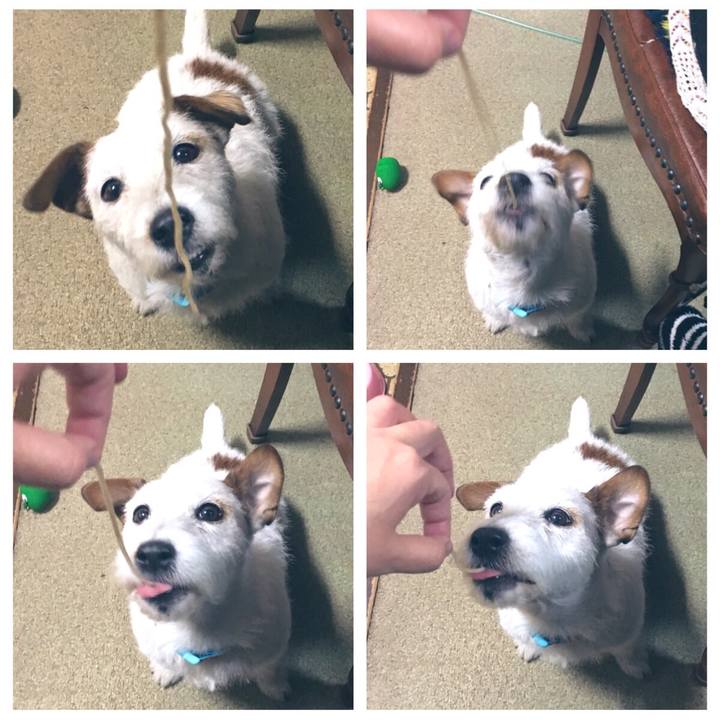 D18631c2 c469 494b bf65 722e3ab114b9 1546240927992