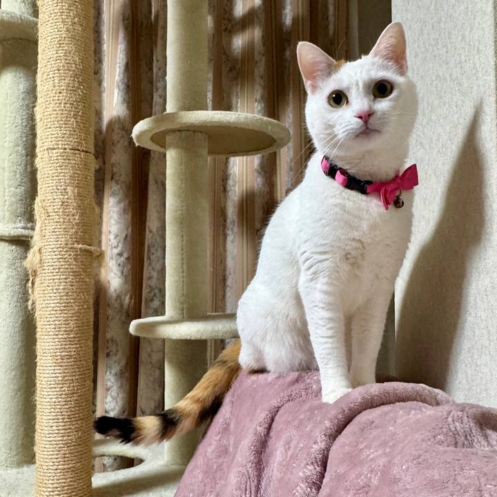 D1863d3d de6e 4a8b 9031 64a26fb8227f 1774008937143