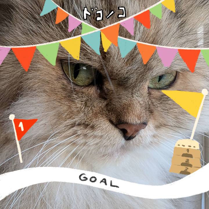 D18688ef eba2 4872 98dc 7d6c3c463ca5 1729124371482