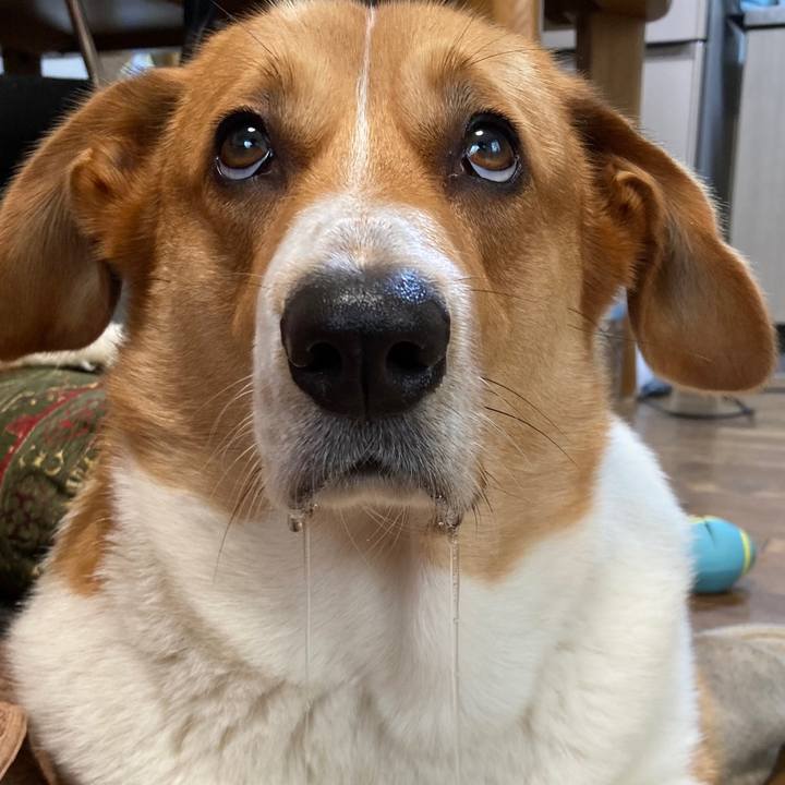 D1869a0e a8bc 4a19 8d4c 3b35f2693e76 1658223208011