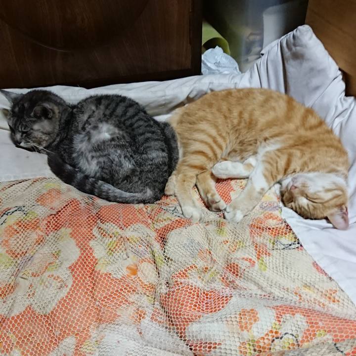 D186b0c4 91cb 4cbc b63b cafe476998b0 1591186420500