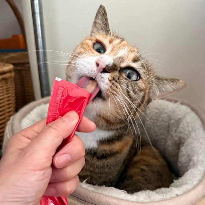 D186c172 8013 43ff 9d38 eb8d395daf36 1775864664322