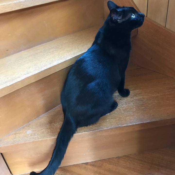 D186dc1f 5461 416e ad7f a3911cef3e23 1529976479478