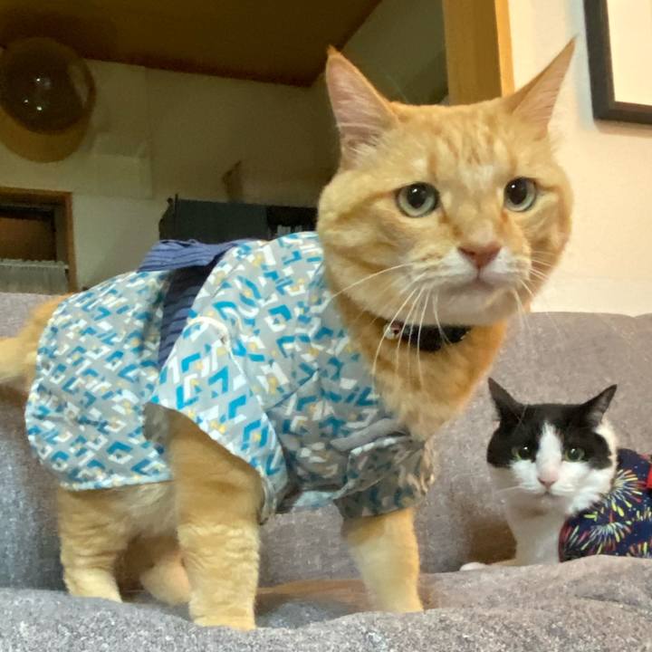 D1872309 9322 42cc ac77 88f7708c5641 1691974823888