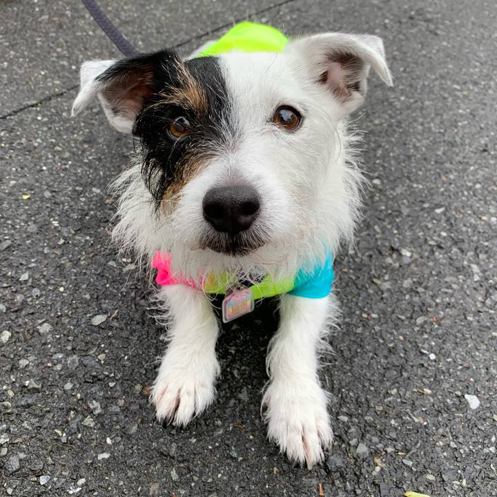 D1876542 4a86 4341 92a0 310f3b1664bb 1651018912914