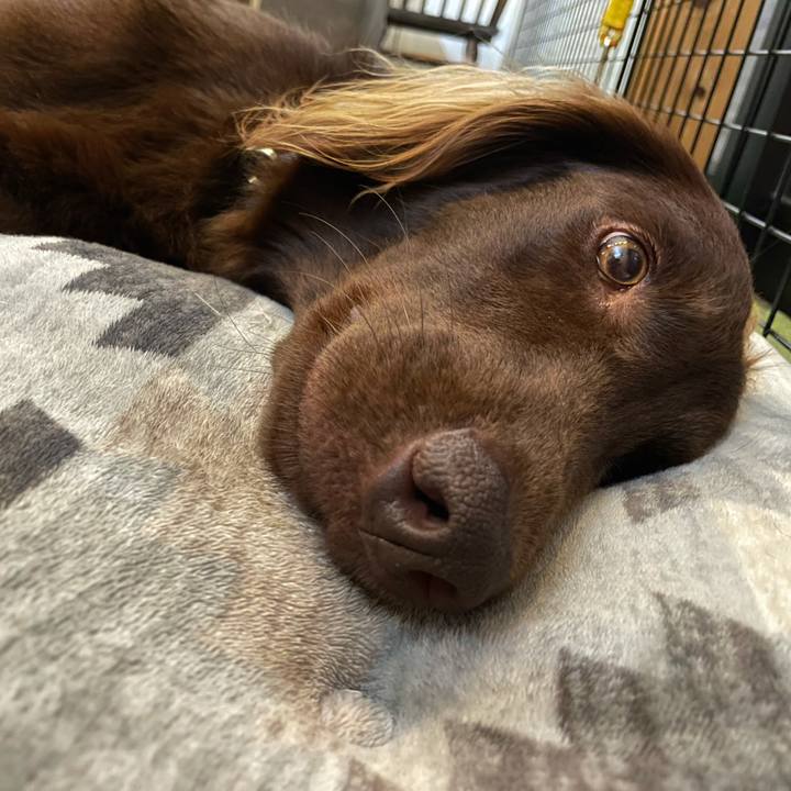 D187779c a7cc 42a4 aa49 e6fcd91d9d9f 1620945660991