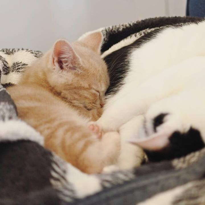 D1877e12 5e21 40fb 9068 acd32bf5f53f 1543491889220