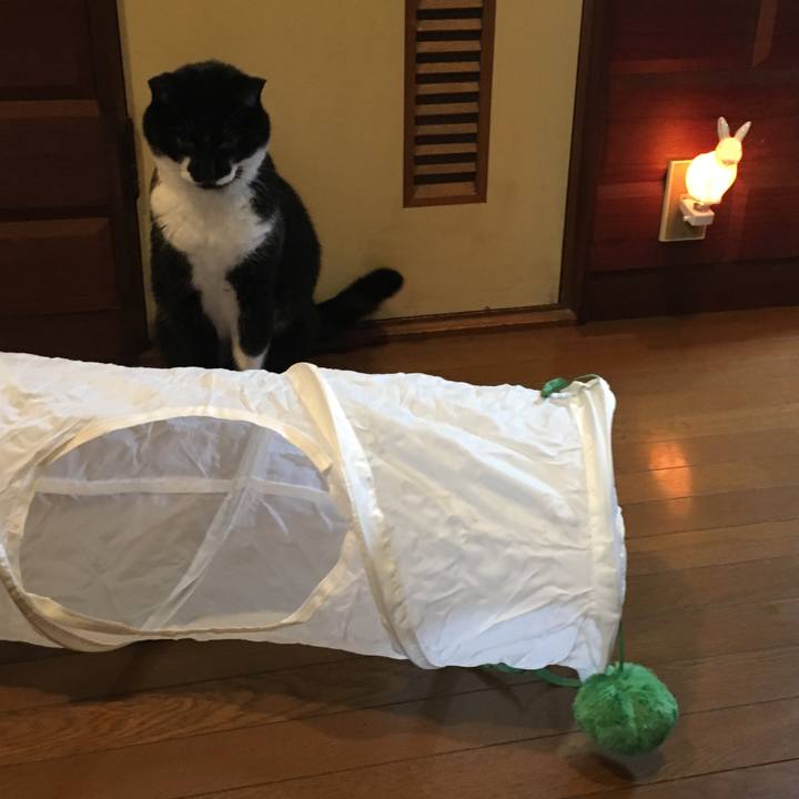 D1879819 6bd2 490b 8c0e b9da22b093a2 1508490786870