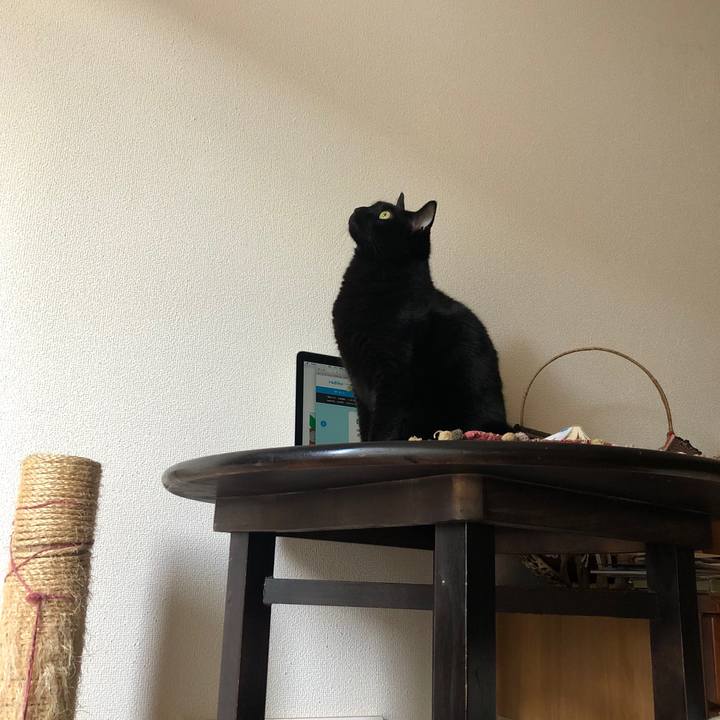 D187c336 f24e 4ecb a76c 6d8683d8bb87 1573945582129