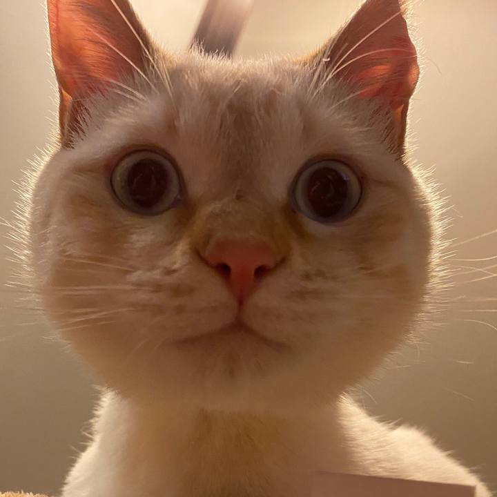 D187d208 e799 4b92 a07e 5b01c1f72e39 1585358461180