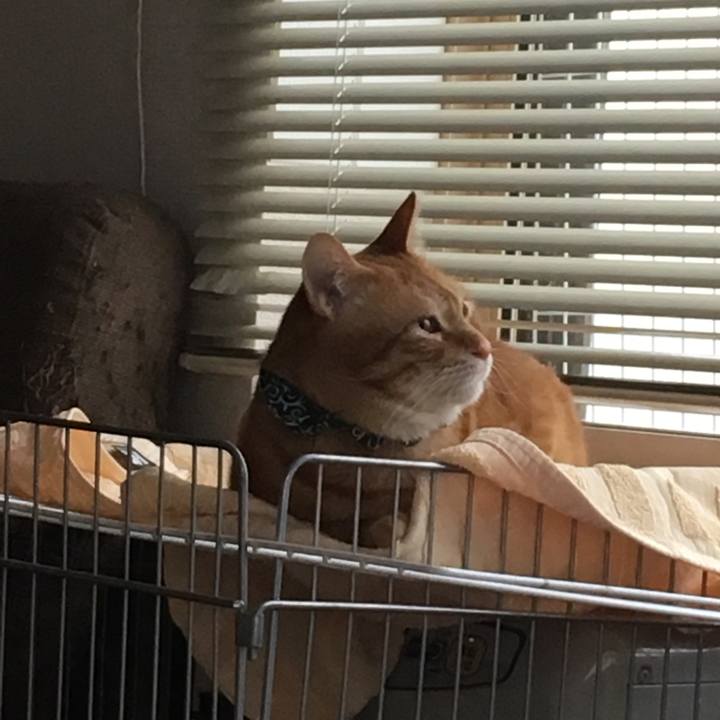 D187e1a3 718c 4aba 9116 e165a204e1f8 1553118646164