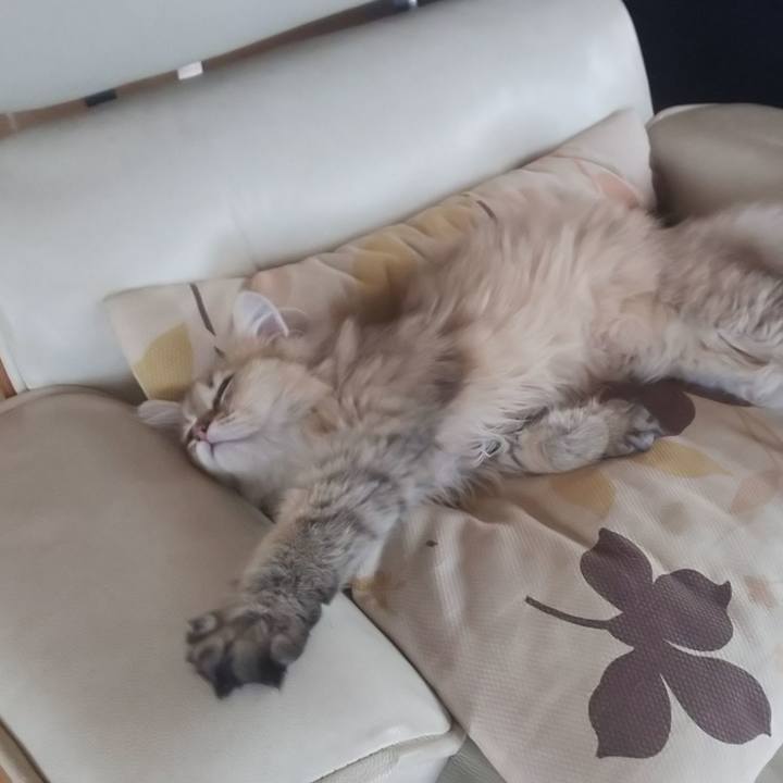 D188285d ef53 4327 9be3 b46cba2e497c 1559802473333