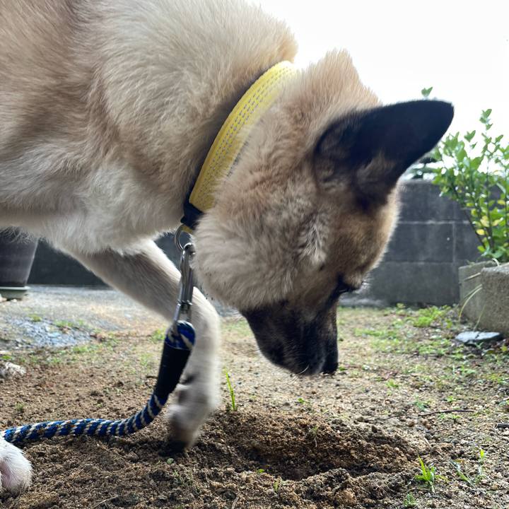 D188643e 30e0 44c6 b05f 7928a27b09e6 1659011023437