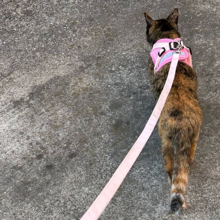 D18869cf 89b7 429e a219 4dd93d91d952 1772242637953