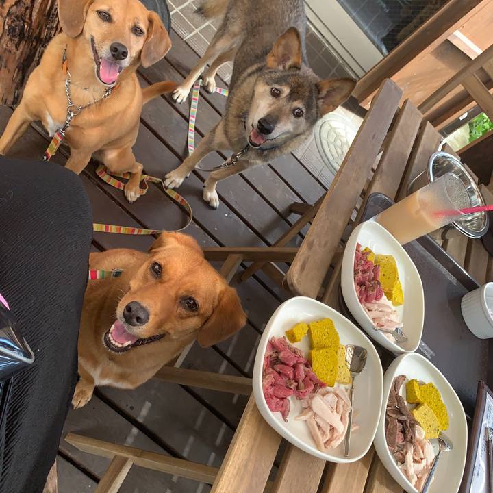 D1889af0 46ae 410a b823 d932b4d85280 1569209434713