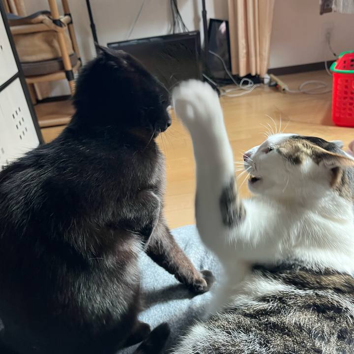 D188be2b bcb3 4ec6 84d9 899ef012a7cc 1644125813524