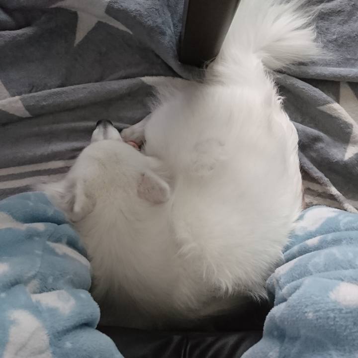 D189039a e248 44ca a5aa 88333f08f819 1586838496771