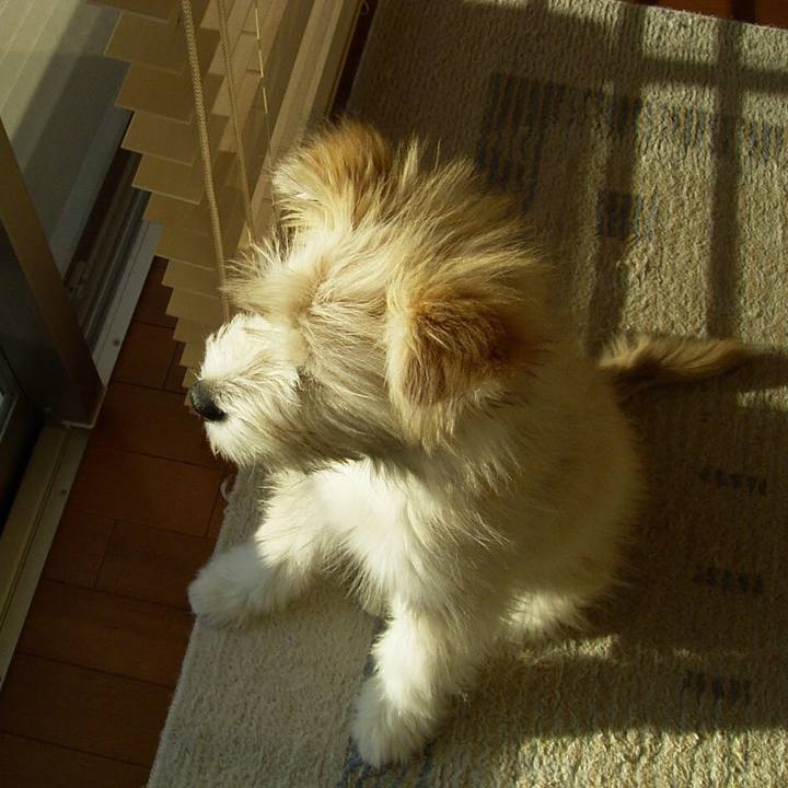 D189a7ca a444 467e 851e 8449a602e290 1597327768225