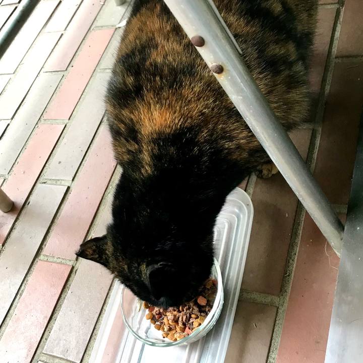 D189d482 bd8e 4802 9538 53569c35f857 1515208796437