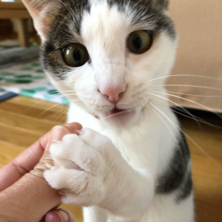 D189e084 c67e 43e6 976f c9c47dba0c0d 1590186833973