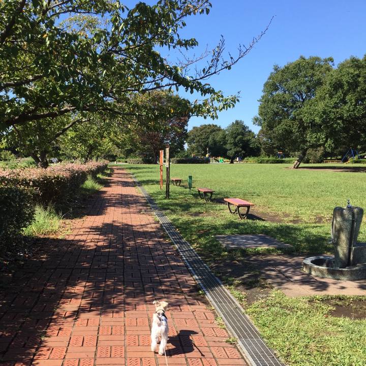 D189e244 46af 4d4e b89c bcffff3272cf 1538118662022