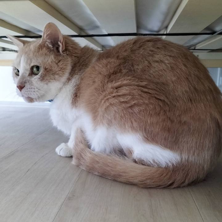 D189fd60 c9d2 45d5 8508 48fda7fd6f3e 1683072730232