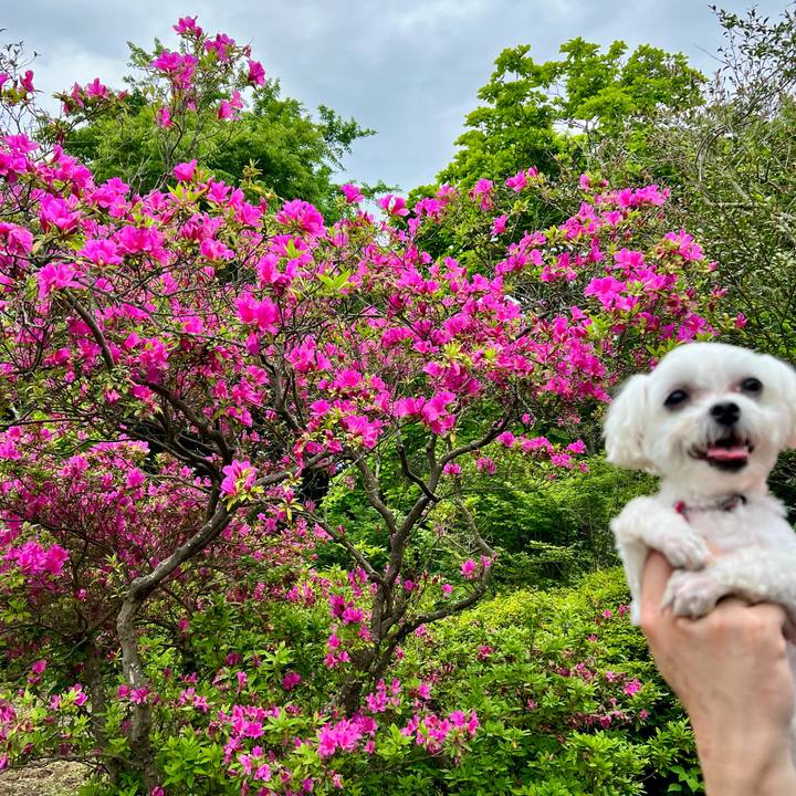 D18a08c7 25a5 4acf aba0 60bddfd19686 1652410313447