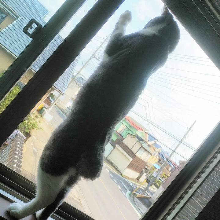 D18a2631 839f 4b8f 863e 2c61f745ba6e 1588031157793