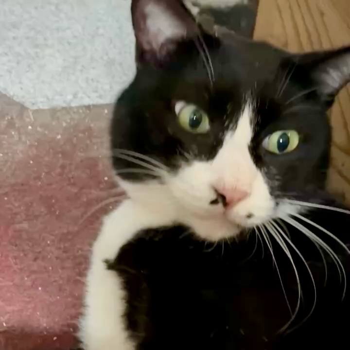 D18a9c45 1411 49b0 ba88 ce4071ac8fe5 1759312085749