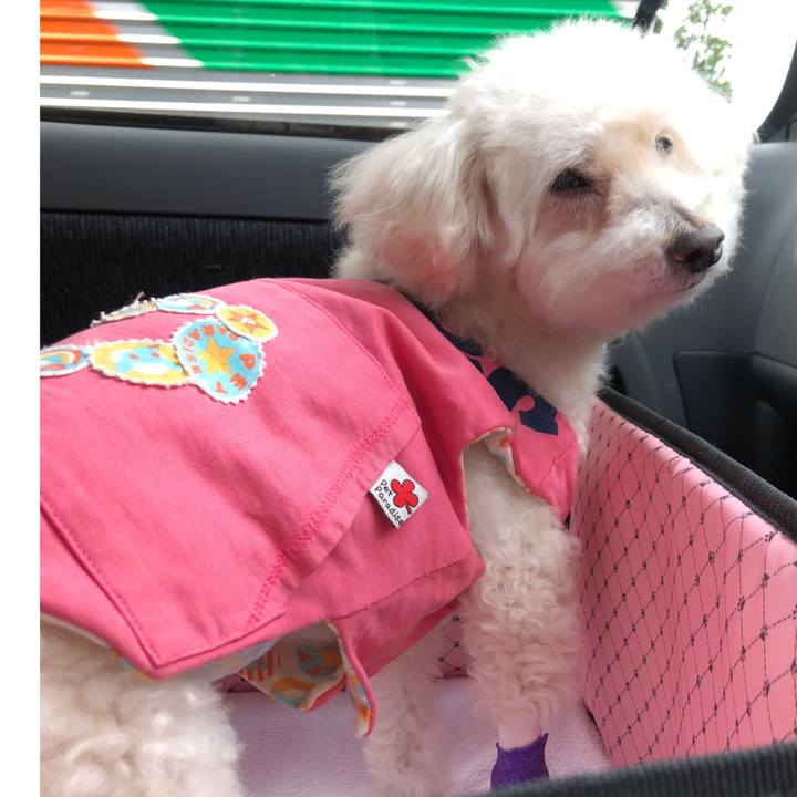 D18ab8eb d939 429e b399 78632921c157 1557978014008