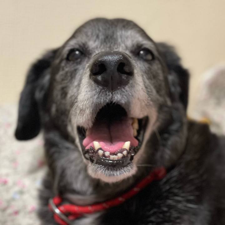 D18afbfa 4d6d 4743 b4cf d3e18194dad7 1770513634451