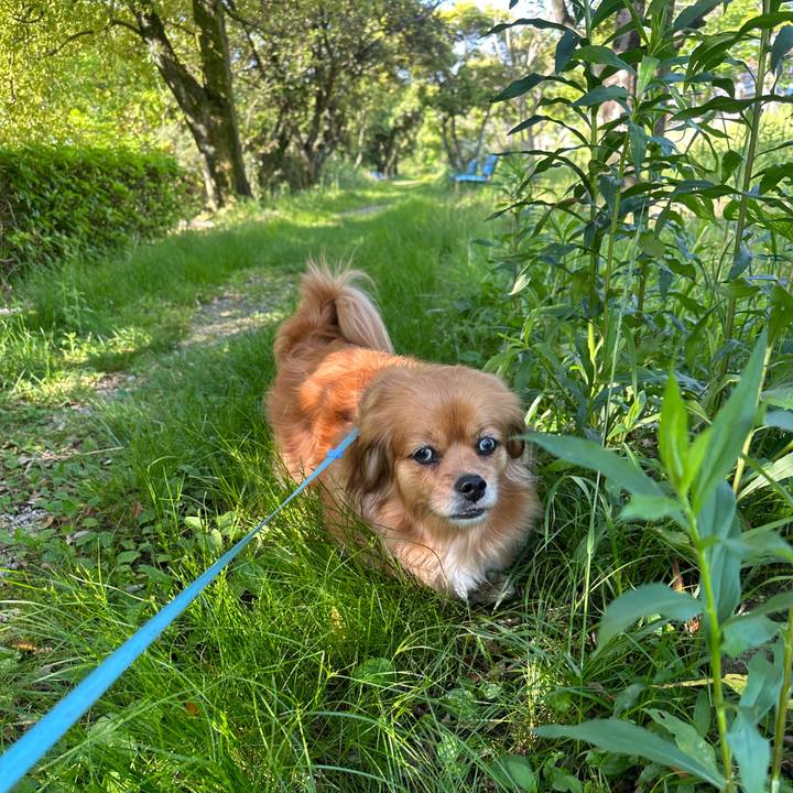 D18afc0b eadf 4404 acea ad32ae678192 1683159255852