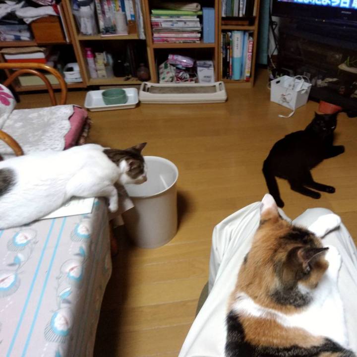 D18afdab 297a 4649 a5ba 655e770cc98c 1689852182023