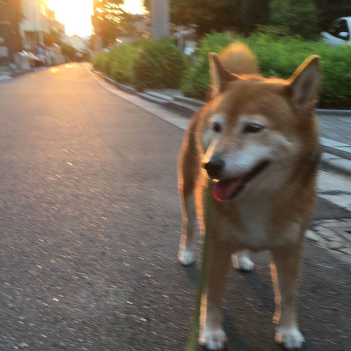 D18b077a 86d2 4214 93c0 b7481bdd1f76 1597742073522