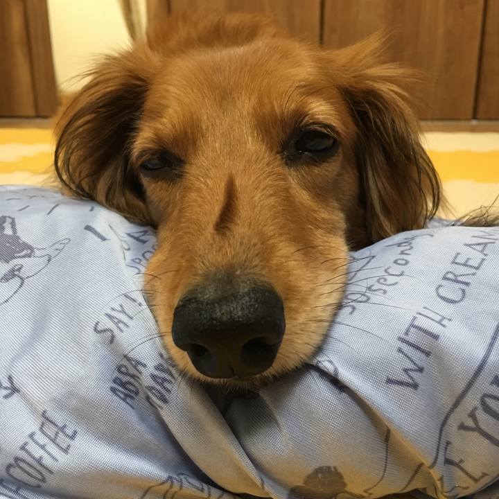 D18b1d7c e161 46fd 9a63 9203201ea980 1564231016033