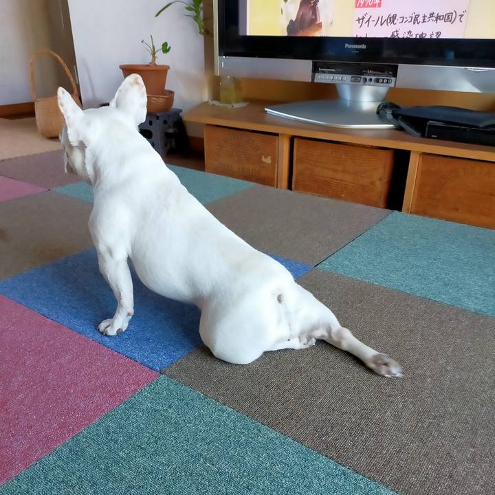 D18b5c3c 5805 4cef 9136 1da9f0456b3c 1653861888759