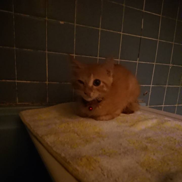 D18b71de 4811 47c3 b6ea 277f07d5a1a6 1630237461212