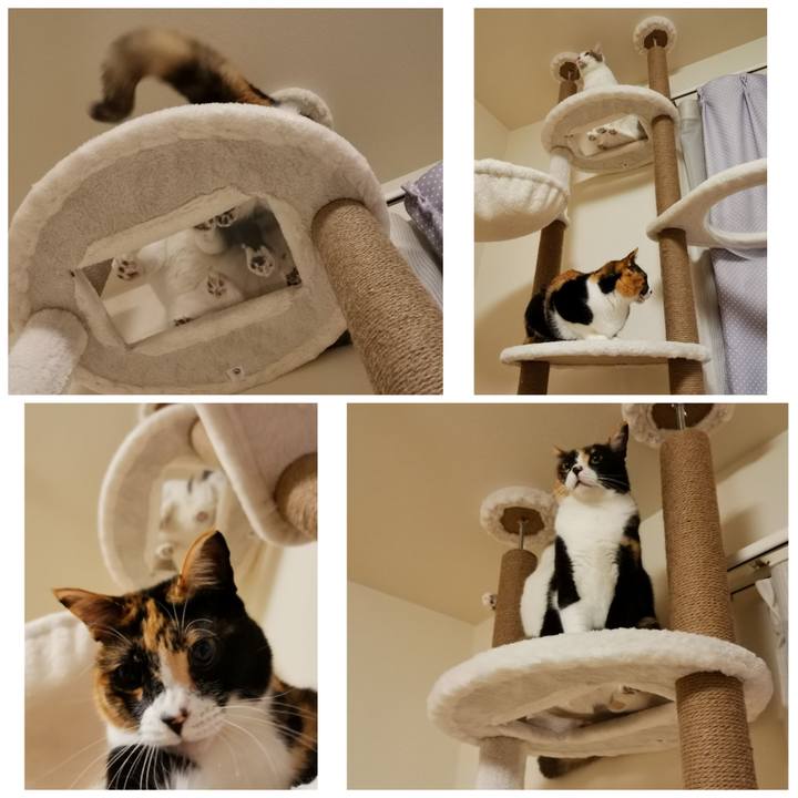 D18b9a78 be05 4a17 b274 5d48423c71b3 1642915468181