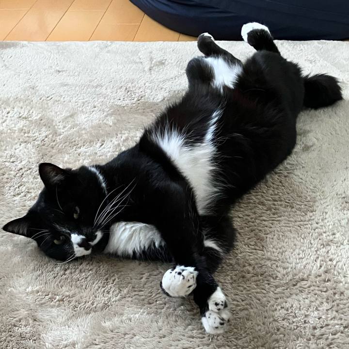 D18b9b83 6799 4594 b588 fff7d4fd1104 1680838991562