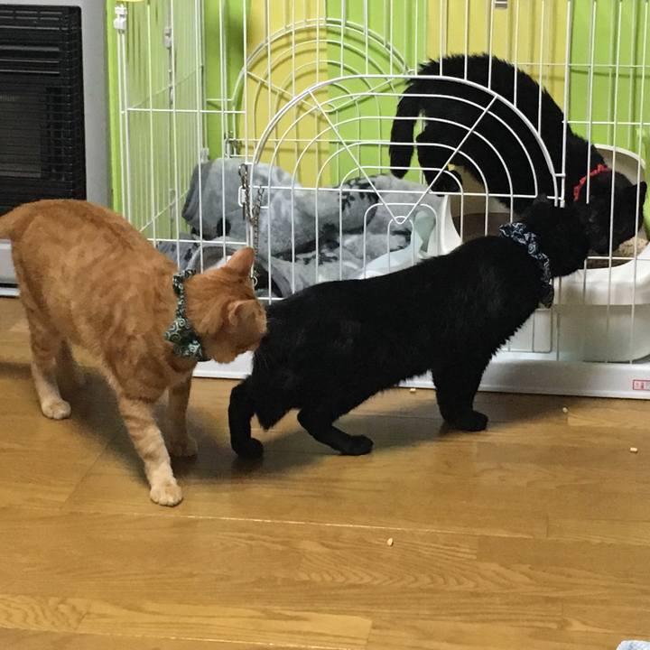 D18bbbc0 92a4 49af afec ea091146518c 1537968408828