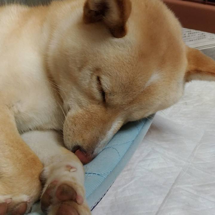 D18bc1b3 6cb9 43c0 a378 1e0fc0b4d0db 1523104082091