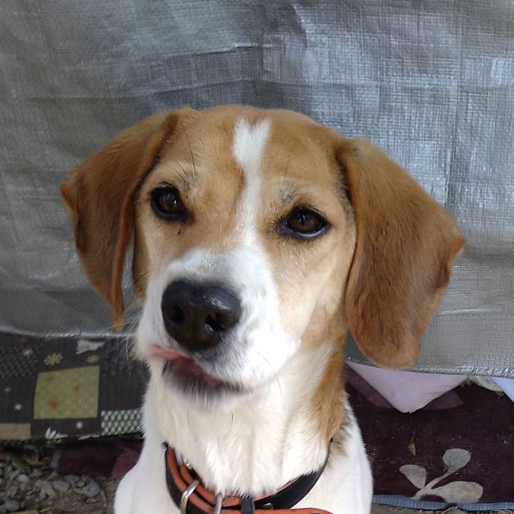 D18bc213 42ac 4f21 84fa 516c9400cca6 1642230384051