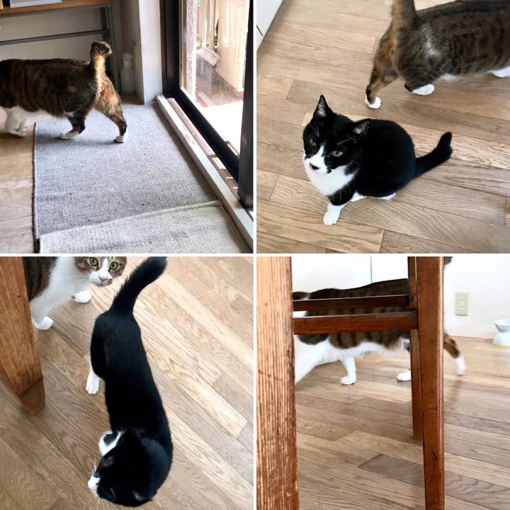 D18bd1dd 5841 4f3a 920f 847a59030a2f 1553996556647