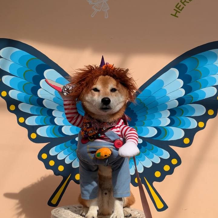 D18be093 8ee0 4785 bf0f 5f99994f4602 1730457936446