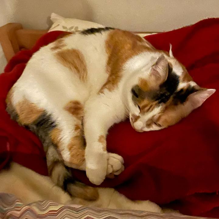 D18beebf b3c1 4fb8 9f8a 0ae4dac5e62c 1641820044521